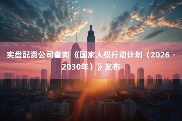 实盘配资公司查询 《国家人权行动计划（2026－2030年）》发布
