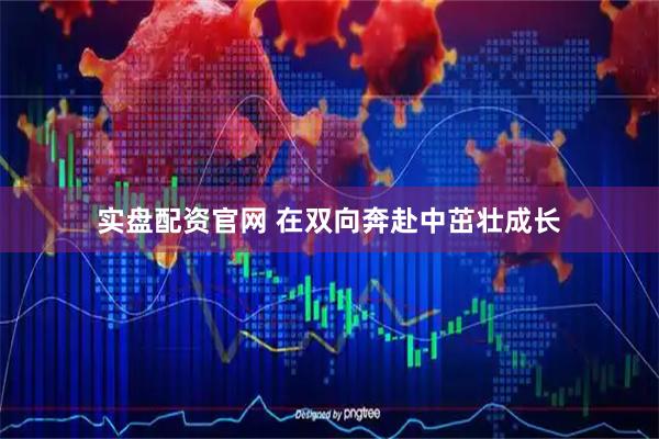 实盘配资官网 在双向奔赴中茁壮成长